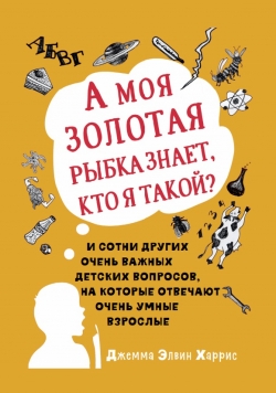 А моя золотая рыбка знает, кто я такой?